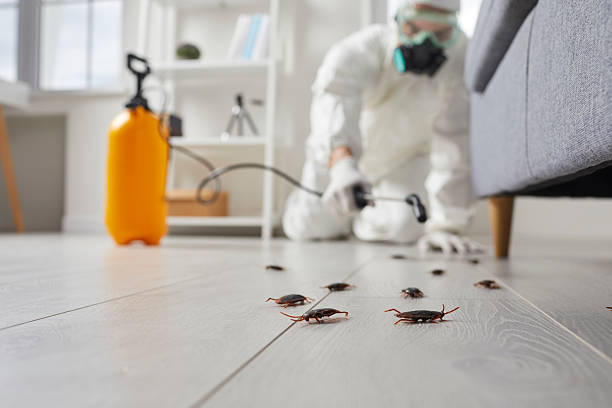 Commercial Kitchen Cockroach Control in Eaton Rapids